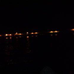 太刀魚調査・・・渋かった(泣)